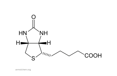 Biotin Vitamin B7-Anmolchem.org (Manufacturer Supplier Exporter)