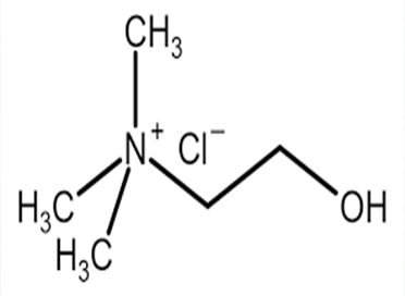 choline-chloride