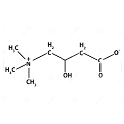 l-carnitine-or-vitamin-bt