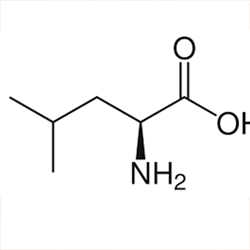 l-leucine