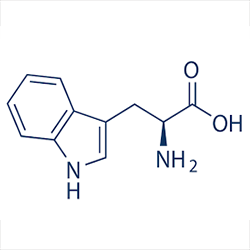 l-tryptophan